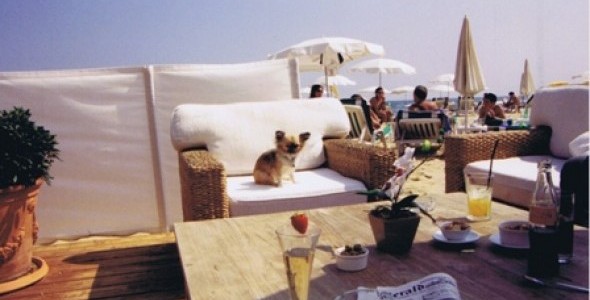 Pet-friendly St. Tropez is a dog’s dream