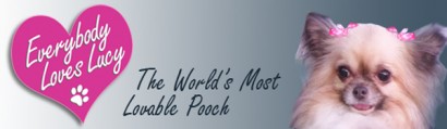 Lucy's Blog | The Jet Set Pets
