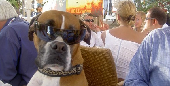 Macy hangs with the beautiful people in Cannes