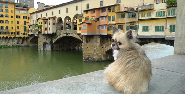 Lucy says ciao to Florence