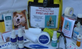 The pet first aid kit fit for travelers