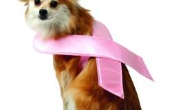 Five fab products to help breast cancer awareness