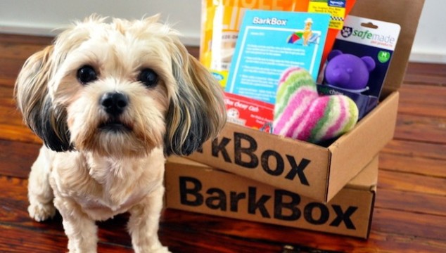 The Pierre Hotel NYC Unleashes Pampered Pups Program