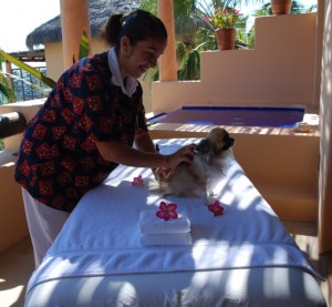 lucy-massage-esperanza