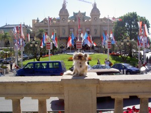 lucy-monaco
