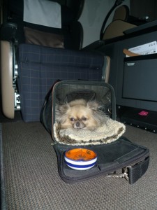 lucy-swiss-air