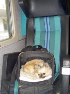 lucy-train